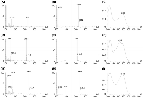 Fig. 3. Mass and absorption spectra of peak 1, 2, and 3.Notes: Positive (A, D, and G) and negative (B, E, and H) ESI mass spectra, and absorption spectra (C, F, and I) of peak 1, 2, and 3.