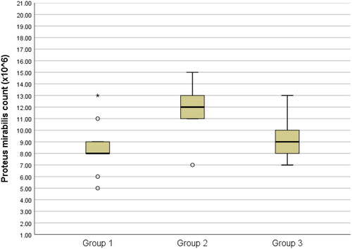 Figure 5. Box-plots of Proteus mirabilis count among groups