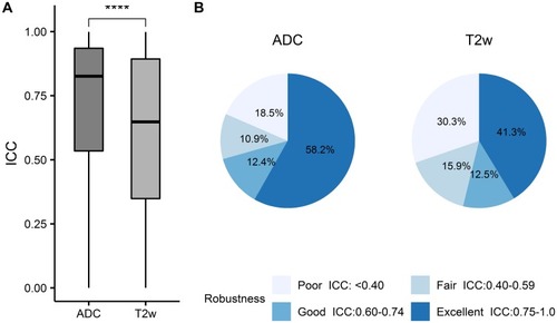 Figure 3 Robustness of the features extracted from ADC and T2w images. (A) Radiomic features extracted from ADC maps had significantly higher ICC values on average than those from T2w images (****p≤0.0001). (B) Robustness ranking of the extracted radiomic features. The cutoffs for stability rating were defined as poor for ICC values less than 0.40, fair for ICC values between 0.40 and 0.59, good for ICC values between 0.60 and 0.74, and excellent for ICC values between 0.75 and 1.0.