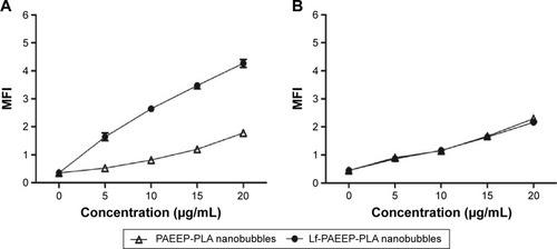 Figure 8 Effect of lactoferrin on the cellular uptake: (A) uptake curves of rat C6 glioma cells, (B) uptake curves of human umbilical vein endothelial cells.Note: Data are reported as mean ± standard deviation (n=3).Abbreviations: Lf-PAEEP-PLA, lactoferrin-conjugated poly(aminoethyl ethylene phosphate)/poly(L-lactide); PAEEP-PLA, poly(aminoethyl ethylene phosphate)/poly(L-lactide); MFI, mean fluorescence intensity.