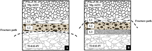 12. Schematic of fracture path observed for a Mg–AZ31/Cu–Ni/Ti–6Al–4V; b Mg–AZ31/Ni–Cu/Ti–6Al–4V configurations made at 515°C, 0·35 MPa for 20 min