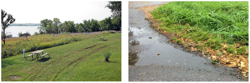 Figure 13. Rutting in soggy soil due to poorly timed mowing/ trimming of turf grass. Flush curb without set-down due to turf growth and sediment accumulation leading to water ponding and sediment accumulation on the road surface.