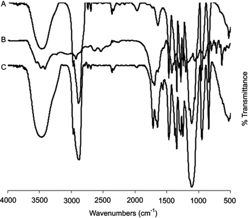 Figure S3 Fourier-transform infrared spectroscopy spectra of (A) Pluronic® F127, (B) Monocarboxy pluronic and (C) O-succinyl chitosan graft pluronic copolymer