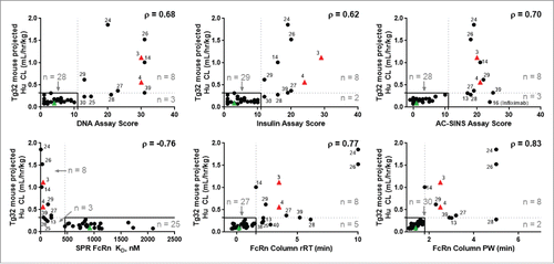 Figure 3. In vitro assay correlation with in vivo CL from mAbs administered to Tg32 mice and allometrically scaled to project human CL. The projected human CL is plotted against the measurements for each mAb from the in vitro assays: DNA binding, insulin binding, AC-SINS, hFcRn SPR, and hFcRn column chromatography rRT and PW. The threshold for identification of rapid CL is defined at ≥0.32 mL/hr/kg (dotted horizontal lines). The in vitro assay thresholds for the de-selection of mAbs based on CL is indicated by the dotted vertical lines, and defined as assay scores of ≥11 (DNA binding), ≥11 (insulin binding), ≥11 (AC-SINS), ≤451.7 nM (hFcRn SPR), ≥1.6 min (hFcRn column rRT), and ≥1.8 min (hFcRn column PW), based on ROC analysis (Fig. S4). Solid lines indicate the region where both in vitro assay scores and in vivo CL fall below threshold. Spearman correlation (ρ) is indicated for each in vitro assay with projected CL. All relationships show correlative significance at p<0.05. Circles and triangles, represent linear CL. Squares, apparent linear CL. •, study mAbs. Green ▴, negative control mAb-01. Red ▴, positive control mAbs-03 and -04. Control mAbs-02 and -05 do not have corresponding CL projected from Tg32 mice.