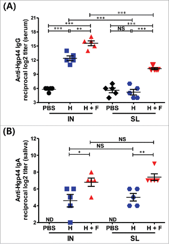 Figure 2. Determination of the Hgp44-specific antibody titers by ELISA. The anti-Hgp44-specific serum IgG (A) and saliva IgA (B). The data are presented as the mean ± SEM in each group. N = 5. *P < 0.05, **P < 0.01, ***P < 0.001, NS: non-significant, ND: not detected (under the detection limit).