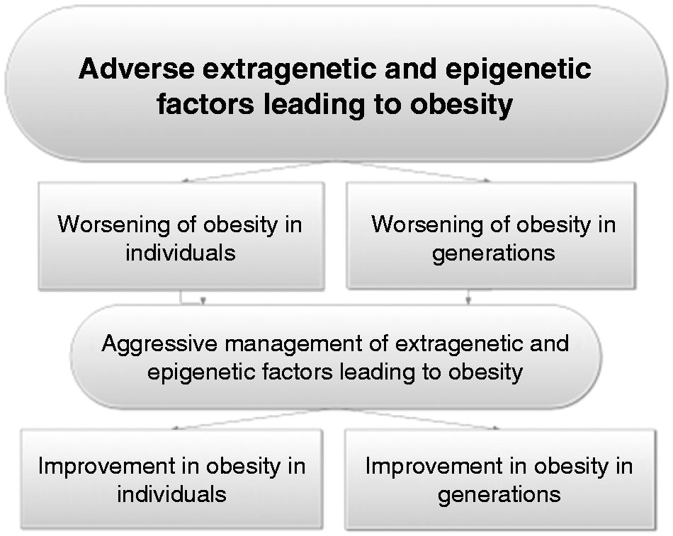 Figure 2. Dual approach towards improving obesity in individuals and generations.