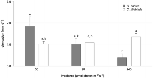 Figure 1. Elongation rate after four weeks‘ incubation at three irradiances. Mean values and standard error (SE) are given.