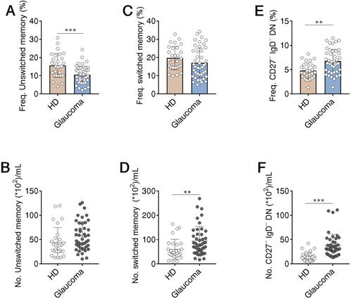 Figure 4 Memory B cell subsets were changed in patients with glaucoma. PBMC were isolated and memory B cell compartments were gated as in Figures 1 and 2. The frequency and absolute number of (A and B) unswitched memory, (C and D) switched memory, and (E and F) CD27− IgD− DN subsets in glaucoma patients and HD were shown. **p<0.01, ***p<0.001. Statistical comparisons were performed using unpaired Student’s t-test (two-tailed). The data are represented as means ± SD.