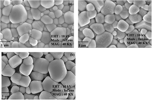 Figure 2. SEM micrographs of (a) x = 0.1, (b) x = 0.2 and (c) x = 0.3 Nd1−xPbxFeO3 samples.