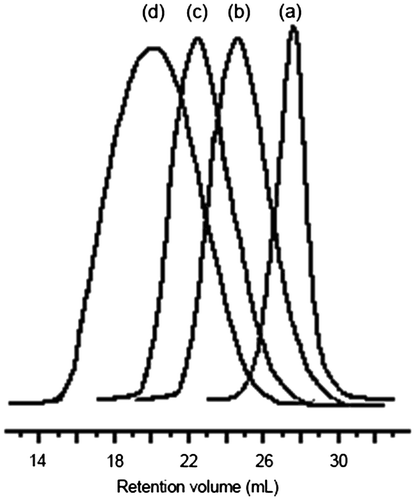 Figure 2. GPC traces of PDLLA-PI-PDLLA (Table 1, Run 1) (a), and PDLLA-PCL-PI-PCL-PDLLA (Table 1, Run 3) (b), macrophotoinitiators, and PDLLA-PMMA diblock copolymer (c), and PDLLA-PCL-PMMA triblock terpolymer (d).