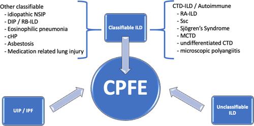 Figure 1 Clinicoradiological interstitial lung diseases in CPFE.
