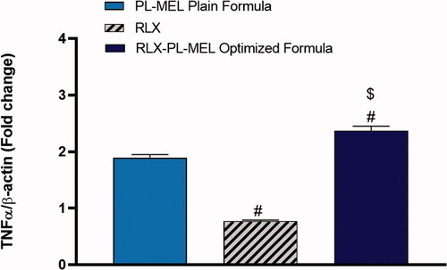 Figure 10. Effect of PL-MEL, RLX, or RLX-PL-MEL treatment on TNF-α activation. Data are expressed as the fold change of mean ± SD of three independent experiments where #,$p<.0001. # Significant from PL-MEL plain formula, and $significant from RLX treated. Samples were normalized to β actin.