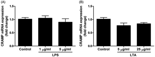 Figure 5. Treatment with LPS and LTA has no effect on CRAMP mRNA expression in MDPC-23 cells. (A, B) Cells were stimulated with 1 and 5 µg/ml LPS (A) or 5 and 25 µg/ml LTA (B) for 24 h and mRNA expression for CRAMP was determined by quantitative real-time RT-PCR. Values are presented as means ± S.E.M. of 8 observations in each group.