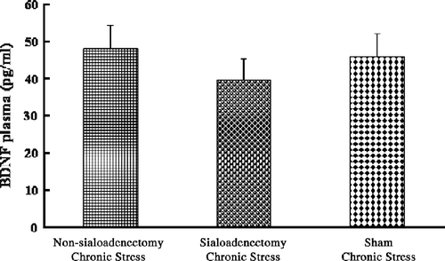 Figure 7  Plasma BDNF concentrations: chronic stress and sialoadenectomy. Data are terminal plasma BDNF concentrations in cardiac puncture blood samples. Chronic stress: after daily 12 h restraint stress for 22 days; Non-sialoadenectomy: no surgery; Sialoadenectomy: removal of submandibular salivary glands before chronic stress; Sham: sham sialoadenectomy before stress. Values are mean ± SEM; n = 12 rats in each group. There were no significant differences among groups (p>0.05).