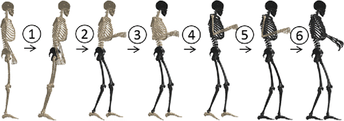 Figure 1. Schematic overview of the positioning procedure (the target postures of body regions are highlighted in dark color in each step, the initial pelvis rotation angle was exaggerated for demonstration).