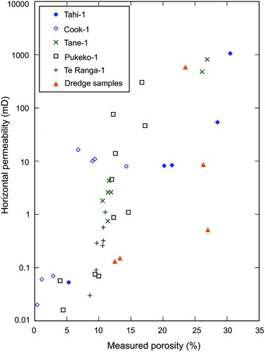 Figure 10. Porosity–permeability values for four Cretaceous sandstones (five analyses) in Reinga and Aotea basins, plotted against typical Cretaceous sandstones in Taranaki Basin (from Higgs et al. Citation2012 and data presented in Table 5). Note that the data were derived by different methods; Taranaki data represent horizontal permeability based on well samples (typically core plugs), whereas our data (also core plugs of the dredged sample) have no particular orientation. Only data from the five analyses undertaken at CoreLabs are shown here. The Reinga and Aotea basin samples have a higher porosity for a given permeability than their Taranaki Basin counterparts.