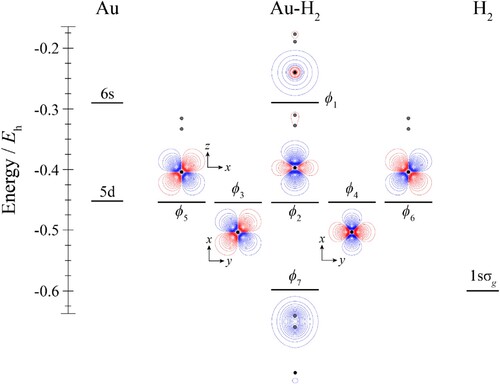 Figure 5. Molecular orbital diagram for Au–H2. See text for details. The contours are the same for all molecular orbitals shown. The position of the gold nucleus is indicated by a black dot, and that of the hydrogen nuclei by grey dots. Orbitals lie in the yz plane unless indicated by the presence of axes, where these axes are located on the Au. In the latter cases, one or more of the hydrogen atoms may not be visible.