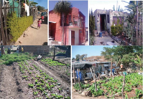 Figure 3. Some of the domestic gardens in Kya Sands Settlement.Source: Author’s Photographs, May/June 2014.