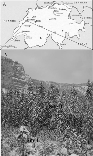 FIGURE 1 (A) Map of Switzerland with the study area indicated (46°56′N, 6°44′E), and (B) the study area (Creux du Van) and the position of the sampling sites within talus slope.