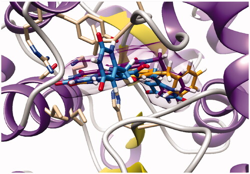 Figure 6. Docking superposition in the hTP active site of compounds 2i (in orange), 28a (in purple), and 30 (in blue).