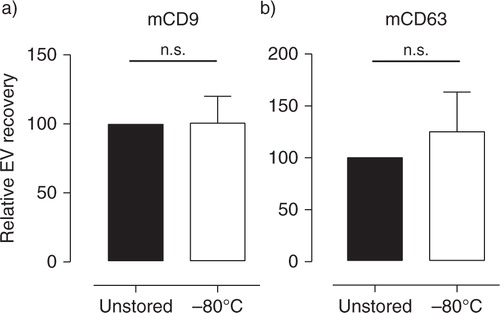 Fig. 5 Milk supernatant cleared from cells and cream can be stored for efficient and reliable recovery of EV. Fresh breast milk was spiked with murine reference EV and centrifuged twice to remove cells and cream. EV were recovered from milk supernatant before (■) and after (☐) storage at −80°C for 2–8 weeks and analyzed by western blotting for the presence of (a) mCD9 and (b) mCD63. Indicated are the quantified western blot signals (mean±SD) normalized to the values detected in unstored milk supernatant (set to 100%). mCD9 n = 5; mCD63 n = 4. n.s.=not significant.