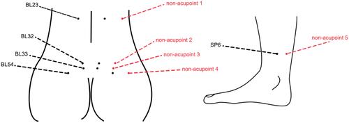 Figure 2 Locations of acupoints and non-acupoints in waist and lower limb region. The black nodes represent acupoints. The red nodes represent non-acupoints. The abbreviations and corresponding acupoints are connected by virtual lines.
