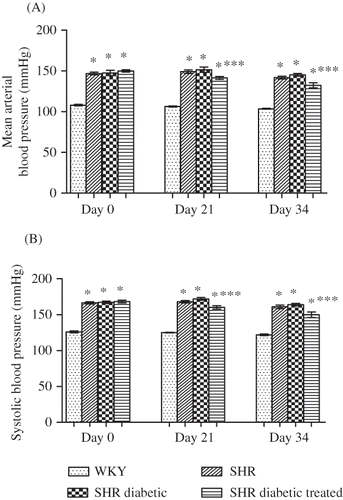 Figure 2. Mean arterial blood pressure (A) and systolic blood pressure (B) of Wistar–Kyoto (WKY), spontaneously hypertensive (SHR), SHR diabetic, and SHR diabetic-treated groups of rats. Measured in conscious state on days 0 and 21 and in anesthetized state on day 34. The values are mean ± SEM (n = 6). Statistical analysis was done by one-way analysis of variance (ANOVA) followed by Bonferroni/Dunn all means post hoc test for all groups in respective days.Note: *p < 0.05 versus WKY control; ***p < 0.05 versus SHR diabetic control.