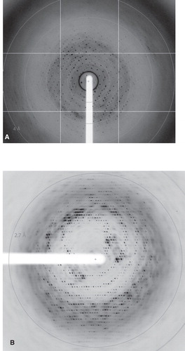 Figure 2. X-ray diffraction images from TmPPase (A) CYM-6 and (B) OGNPG crystals.