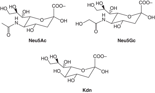 Figure 7. Structures of N-acetylneuraminic acid (Neu5Ac), N-glycolylneuraminic acid (Neu5Gc), and 2-keto-3-deoxynononic acid (Kdn).