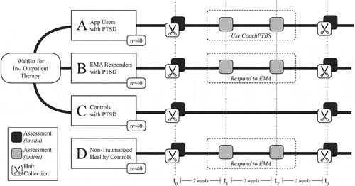 Figure 1. Experimental branches, conditions and time line. PTSD = posttraumatic stress disorder. EMA = ecological momentary assessment.