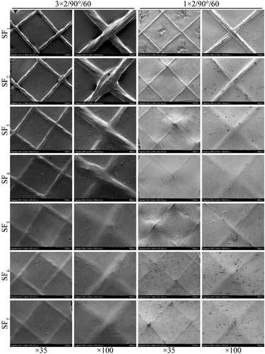 Figure 5. The surface morphologies of grafts with different SF self-assembly layers. SF1–SF7 represent 1–7 layers with SF self-assembly.