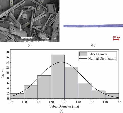 Figure 3. (a) SEM image, (b) optical microscope image, and (c) diameter distribution of hemp fiber.