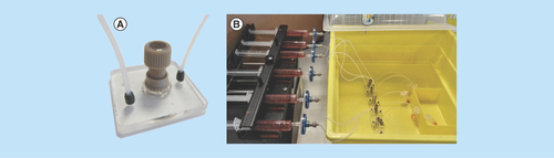 Figure 2.  Photographs of microfluidic culture device and setup.(A) Device close up including PEEK plastic microport and PDMS-filled PEEK-threaded adaptor. Connected to inlet and outlet ETFE tubing via graphite ferrules. (B) Complete culture setup with syringes containing complete medium attached to a pressure-driven syringe pump for continuous flow to the tissue sample within the device. Effluent was collected in Eppendorf tubes and the devices were maintained in an incubator at 37°C.ETFE: Ethylene tetrafluoroethylene; PDMS: Polydimethylsiloxane; PEEK: Polyether ether ketone.