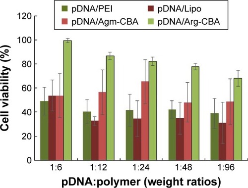 Figure 5 In vitro cytotoxicity of Agm-CBA and Arg-CBA complexed with pDNA at weight ratios (pDNA:polymer) varying from 1:6 to 1:96.Notes: MCF7 cells were incubated with the desired amount of complexes for 24 hours. Results reported as mean ± standard deviation for three individual measurements.Abbreviations: Agm, agmatine; CBA, N,N′-cystamine bisacrylamide; Arg, arginine; pDNA, plasmid DNA; PEI, polyethylenimine; Lipo, Lipofectamine 2000.
