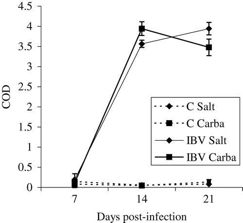 Figure 2. IBV-specific IgG in tears induced after salt application or carbachol injection, and collected using pipette tips. No significant differences between the groups.