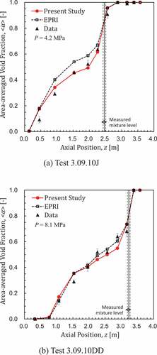 Figure 15. Predicted void fraction profiles.