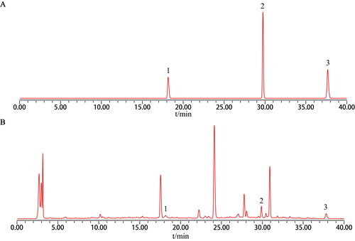 Figure 1. Chromatographic profile of Danggui-Buxue decoction water extract. (A) Drug standards. (B) Danggui-Buxue decoction water extract. 1: ferulic acid, 2: calycosin, 3: formononetin.