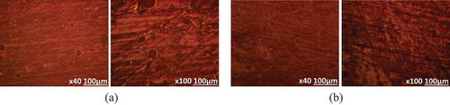 Figure 4. Optical microscopic images of CGN inhibited MS surface in artificial seawater (a) at 0.75% CGN and (b) 2.25% CGN