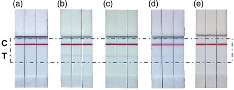 Fig. 6.  Photograph of the test strips of LFIA using anti-CD9 as capture antibody and AuNP–anti-CD63 as detection probe, corresponding to: (a) Blank: running buffer. (b) 20 µg Ma-Mel-86c exosomes. (c) 20µg of plasma exosomes (HBM). (d) 20 µg of urine exosomes (HBM). (e) Exosome-depleted plasma.