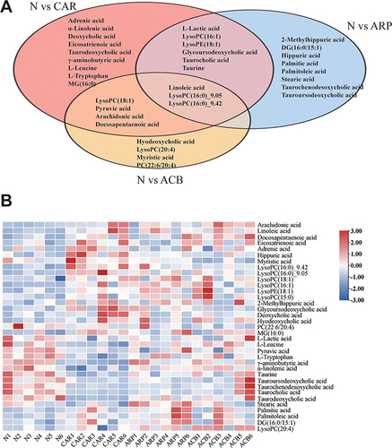 Figure 6 Potential biomarkers in different AR-treated groups. (A) Veen diagram showing the unique and common biomarkers among the groups intervened by different AR product. (B) Heat map demonstrating the content changes of potential biomarkers.