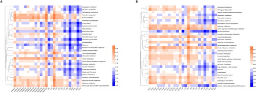 Figure 4. Heatmap of top 30 significantly changed class 3 pathways between two groups: (A) Health-S and UC; (B) UC-S and UC (n = 13 in Health, Health-S and UC groups, n = 12 in UC-S group).