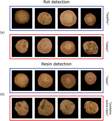 Figure 1. (a) Examples of images in each of the two categories for the classification task of detecting root rot disease in a stem end image of Scots pine. In the “healthy” category, the second image from the left contains decay that has not yet developed to degree four on the scale used here (see text for details). In the fourth image from the left, the resin is not due to root rot disease. In the “rotten” category, the decay is accompanied by resin in only two out of the four cases shown here. (b) Examples of images in each of the two categories for the classification task of detecting extra resin in a stem end image of Scots pine. Extra resin here means significant presence of resin outside branch knots.