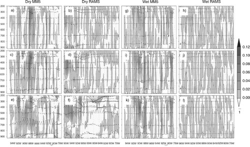 Fig. 4 MM5 EXP minus CTRL and RAMS EXP minus CTRL cross-sections for DP05 (a, b), DP10 (c, d), DP15 (e, f), WP05 (g, h), WP10 (i, j) and WP15 (k, l) 12-hour average vertical and horizontal wind velocities (m s−1) for 37°N latitude centred at 0000 UTC on 12 June. Pressure levels are shown in millibars.