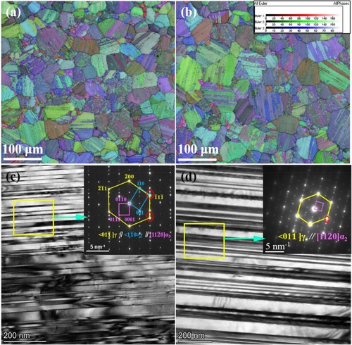 Figure 2. Microstructural details of LM1 and LM3: (a) and (b) Euler orientation maps superimposed on the BC images of two LMs, where all results are attained with a step size of 0.15 µm; The Euler angle-based color scale attached in (b) shows that similar colors indicate similar orientations; (c) and (d) BF-TEM images of LM1 and LM3, where the insets show SAED patterns, elaborating Blackburn orientation relationship between α2/γ lamellae and γ twin symmetry.