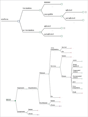 Figure 1. Decision-tree for the model.