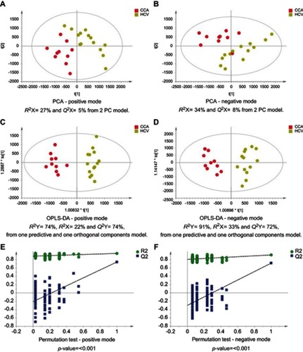 Figure 5 CCA vs noncirrhotic HCV patients. PCA scores plots for (A) positive and (B) negative ion mode data of CCA patients and HCV patients. OPLS-DA scores plots showing group separation for both (C) positive and (D) negative ion mode data and the corresponding permutation tests for (E) positive and (F) negative ion mode data.