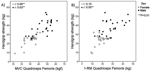 Figure 3. Correlations according to sex between handgrip strength and quadriceps femoris assessed by (A) maximum voluntary contraction and (B) 1-repetition maximum test. 1-RM: one-repetition maximum; MVC: maximum voluntary contraction.