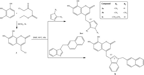 Scheme 3. Synthesis of 7,8-dihydroxy coumarin bearing imidazolium and benzimidazolium salts (3a–c, j).
