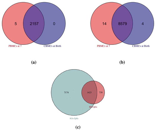 Figure 2. Overlapping ancestry CpGs at birth and at age 7. (a): self-reported race-associated CpGs (RR-CpGs) with cong≥0.8 (violet) or disg≥0.8 (red or blue). A discordant RR-CpG was classified as significant at birth but not at age 7 (blue) if the marginal posterior probability that the effect was non-zero at birth was greater than that at age 7. Discordant RR-CpGs that were significant at age 7 but not at birth (red) were defined analogously. (b): The same as (a), but for inferred genetic ancestry-associated CpGs (IGA-CpGs). (c): The overlap between RR-CpGs (cong≥0.8 or disg≥0.8) and IGA-CpGs (cong≥0.8 or disg≥0.8)