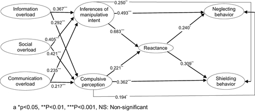 Figure 3 Structural model result (*p<0.05, **P<0.01, ***P<0.001, NS: non-significant).
